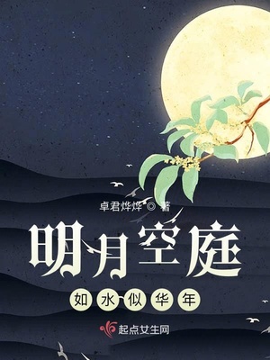 女律师的沉沦小说阅读